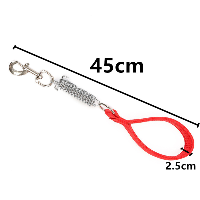 Nylon Rope Dog Leash with Spring Nylon Rope Dog Leash with Spring
