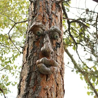 Old Man Tree Hugger Garden Peeker Yard Art Outdoor Tree Funny Old Man Face Sculpture Whimsical Tree Face Garden Old Man Tree Hugger Garden Peeker Yard Art Outdoor Tree Funny Old Man Face Sculpture Whimsical Tree Face Garden