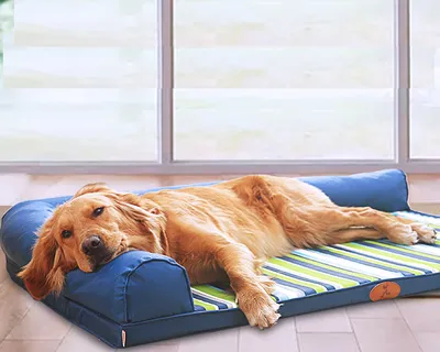 Orthopedic Dog Bed Large Pet Sofa Orthopedic Dog Bed Large Pet Sofa