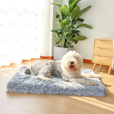 Orthopedic Foam Dog Bed with Washable Cover