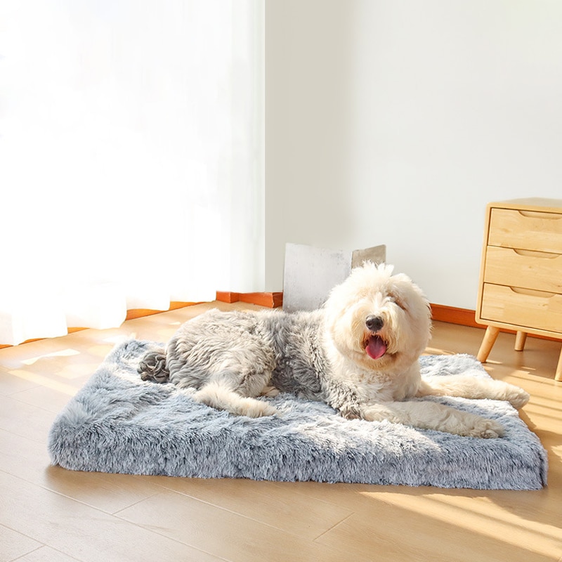 Orthopedic Foam Dog Bed with Washable Cover