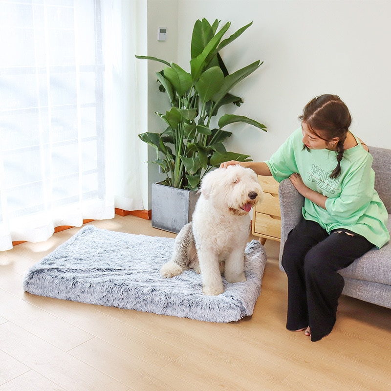 Orthopedic Foam Dog Bed with Washable Cover