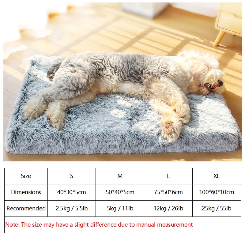 Orthopedic Foam Dog Bed with Washable Cover