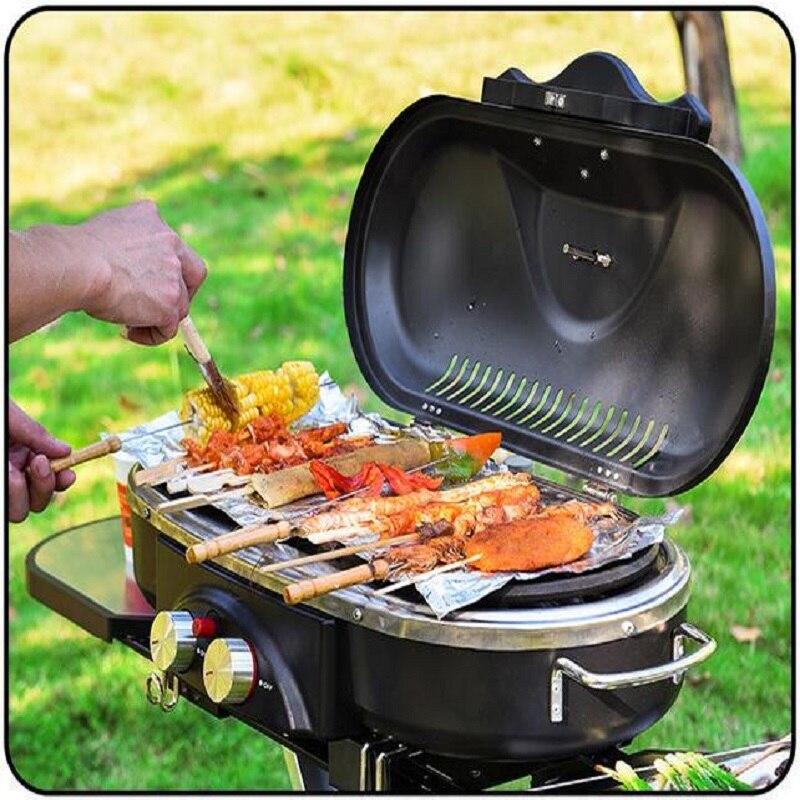 Outdoor BBQ Trolley Gas Grill