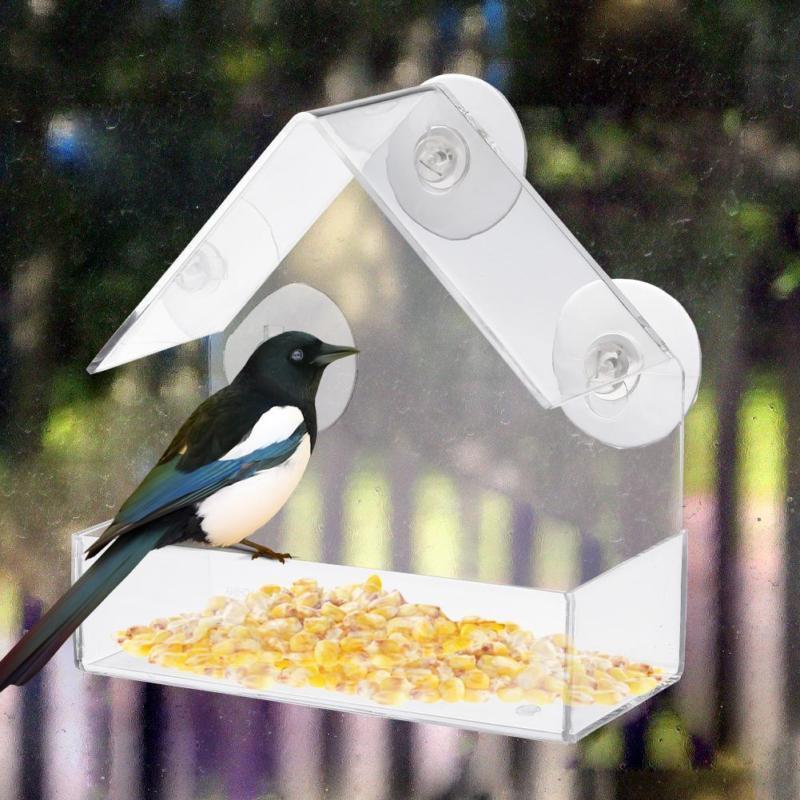 Outdoor Clear Window Bird Feeder Outdoor Clear Window Bird Feeder