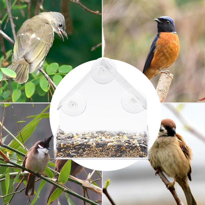 Outdoor Clear Window Bird Feeder