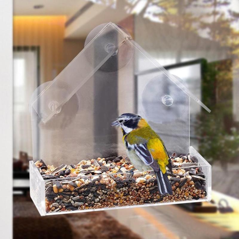Outdoor Clear Window Bird Feeder