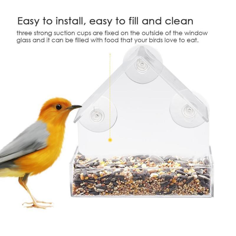 Outdoor Clear Window Bird Feeder