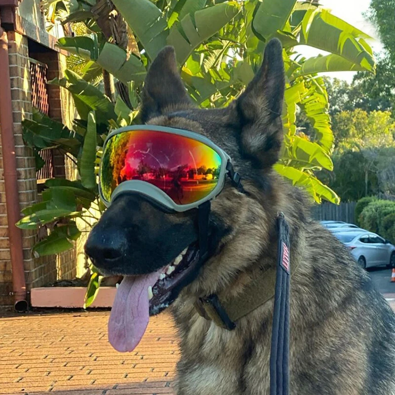 Outdoor Dog Pet Glasses Dog Fashion Sports Sunglasses Adjustable Strap for Travel Skiing and Anti-FogPet Goggles Outdoor Dog Pet Glasses Dog Fashion Sports Sunglasses Adjustable Strap for Travel Skiing and Anti-FogPet Goggles