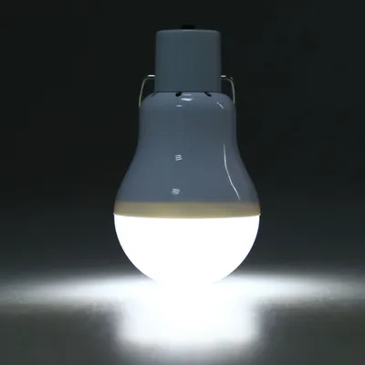 Outdoor LED Solar Powered Light Bulb