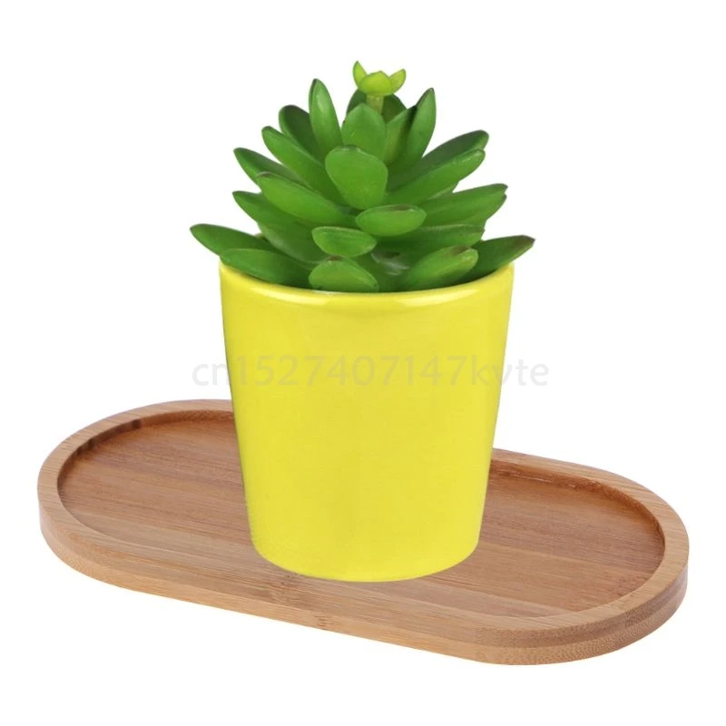 Oval Bamboo Wood Small Plant Tray