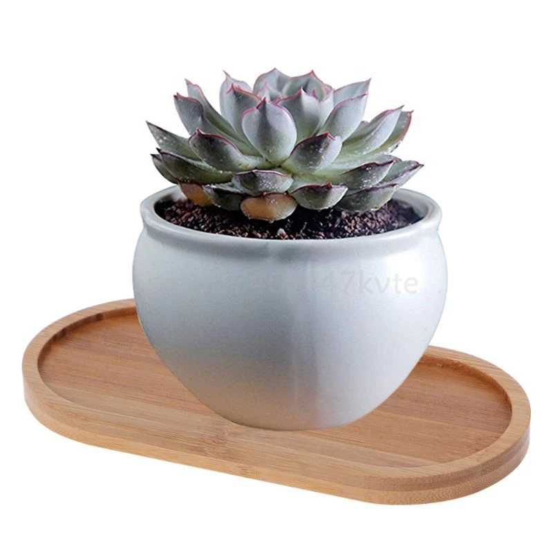 Oval Bamboo Wood Small Plant Tray