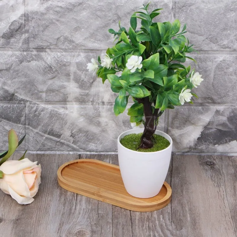 Oval Bamboo Wood Small Plant Tray