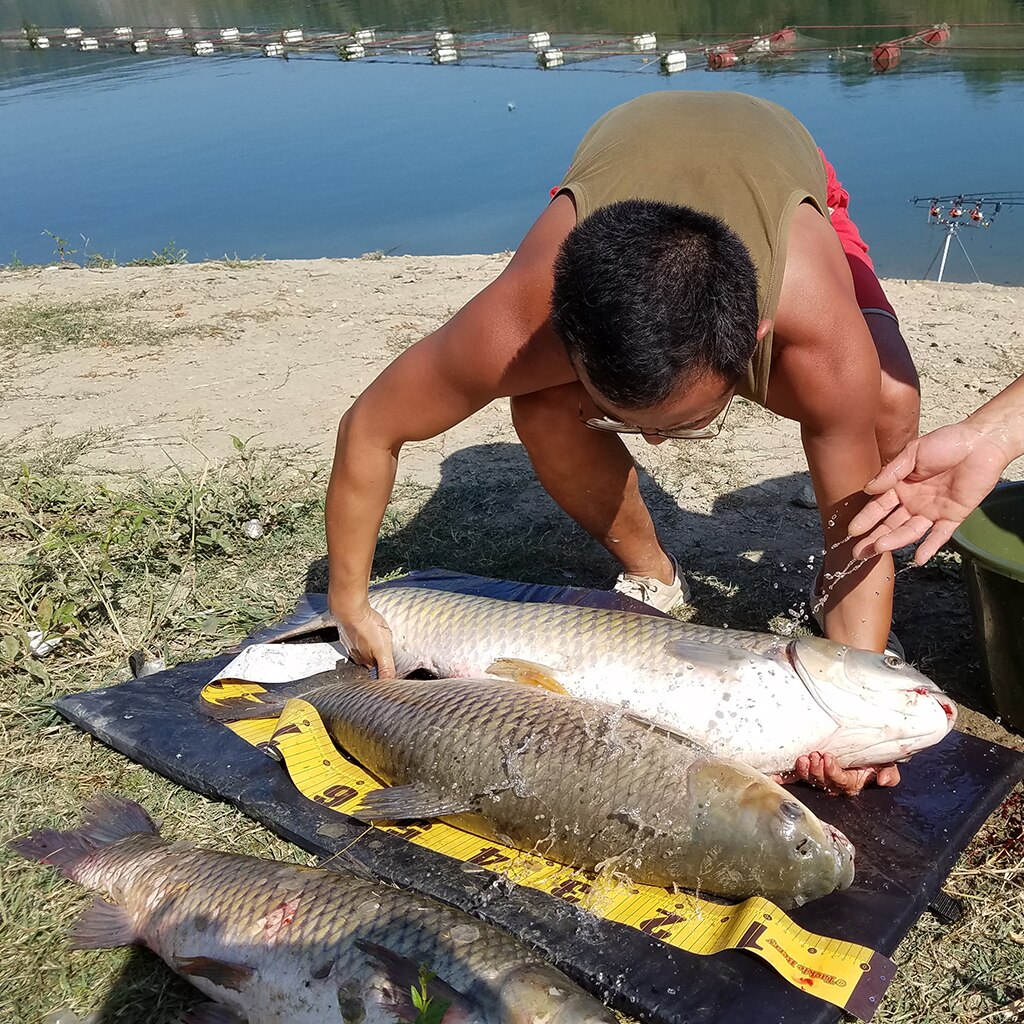 Padded Carp Unhooking Mat