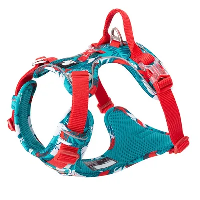 Padded Dog Harness with Reflective Strip