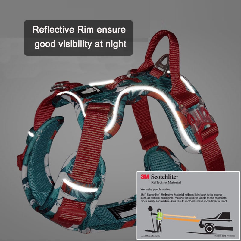 Padded Dog Harness with Reflective Strip