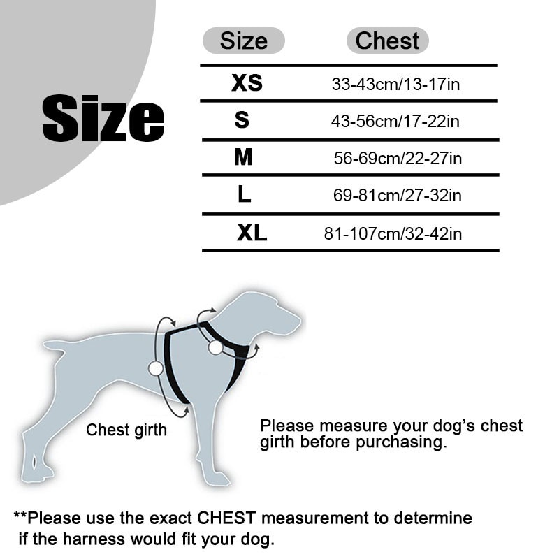 Padded Dog Harness with Reflective Strip
