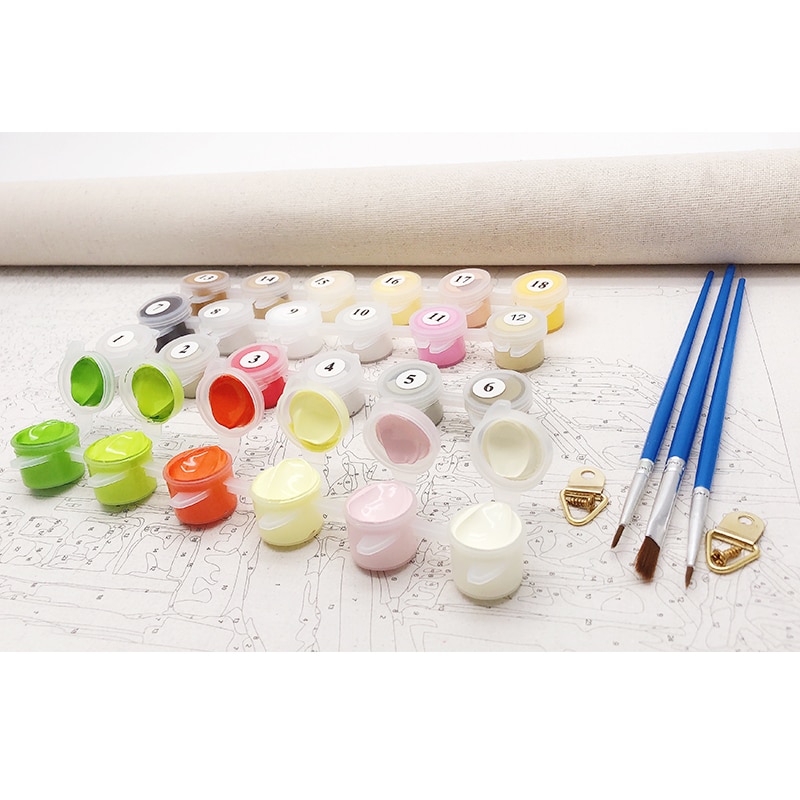 Paint By Number For Adults DIY Painting