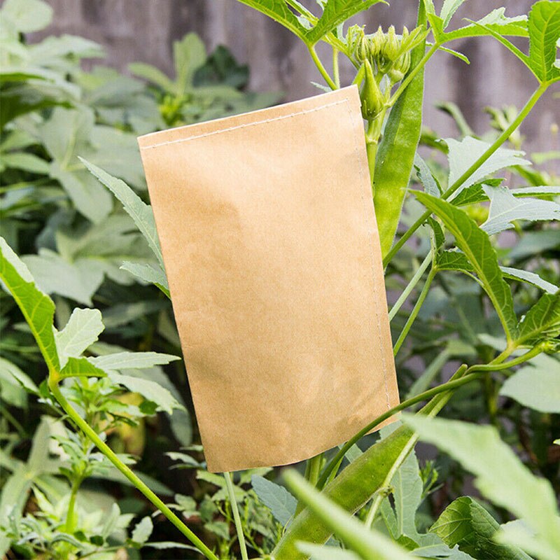 Paper Seed Envelopes (100pcs) Paper Seed Envelopes (100pcs)