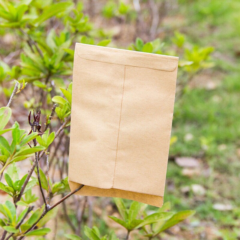 Paper Seed Envelopes (100pcs) Paper Seed Envelopes (100pcs)