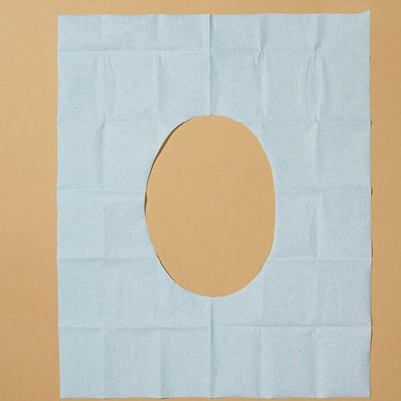 Paper Toilet Seat Covers 10PC Set