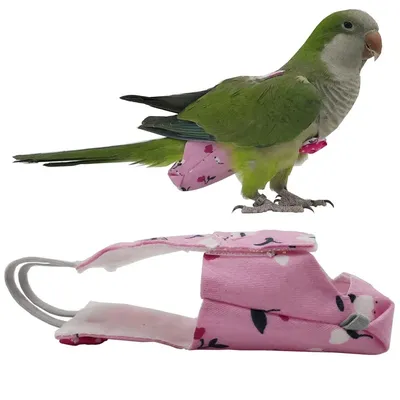 Parrot Diaper with Bowtie Cute Colorful Fruit Floral Cockatiel Pigeons Small Medium Large Pet Birds Flight Suit Clothes Parrot Diaper with Bowtie Cute Colorful Fruit Floral Cockatiel Pigeons Small Medium Large Pet Birds Flight Suit Clothes