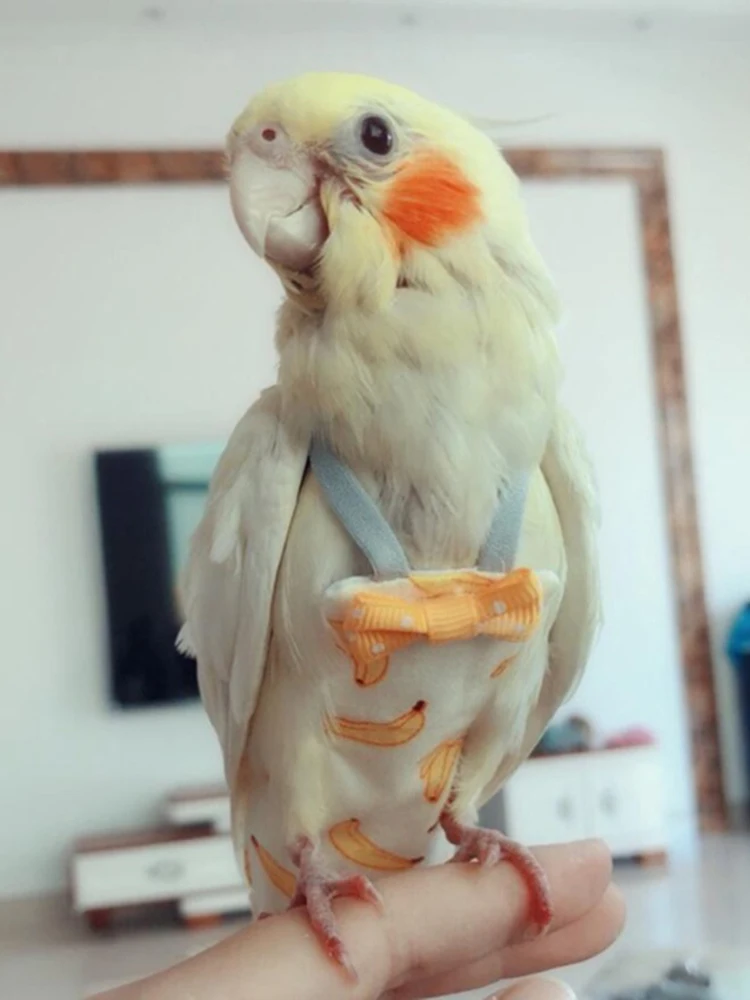 Parrot Diaper with Bowtie Cute Colorful Fruit Floral Cockatiel Pigeons Small Medium Large Pet Birds Flight Suit Clothes Parrot Diaper with Bowtie Cute Colorful Fruit Floral Cockatiel Pigeons Small Medium Large Pet Birds Flight Suit Clothes
