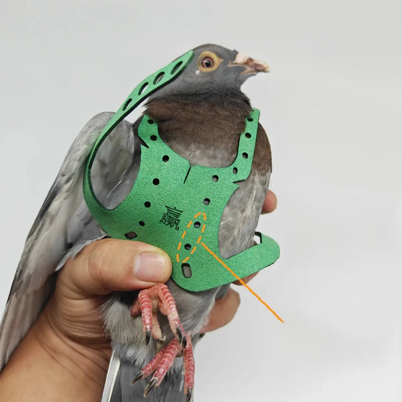 Parrot Pigeon Harness And Leash Flying Anti-bite Traction Rope Straps Bird Training Outdoor Carrying Adjustable Bird Parrot Pigeon Harness And Leash Flying Anti-bite Traction Rope Straps Bird Training Outdoor Carrying Adjustable Bird