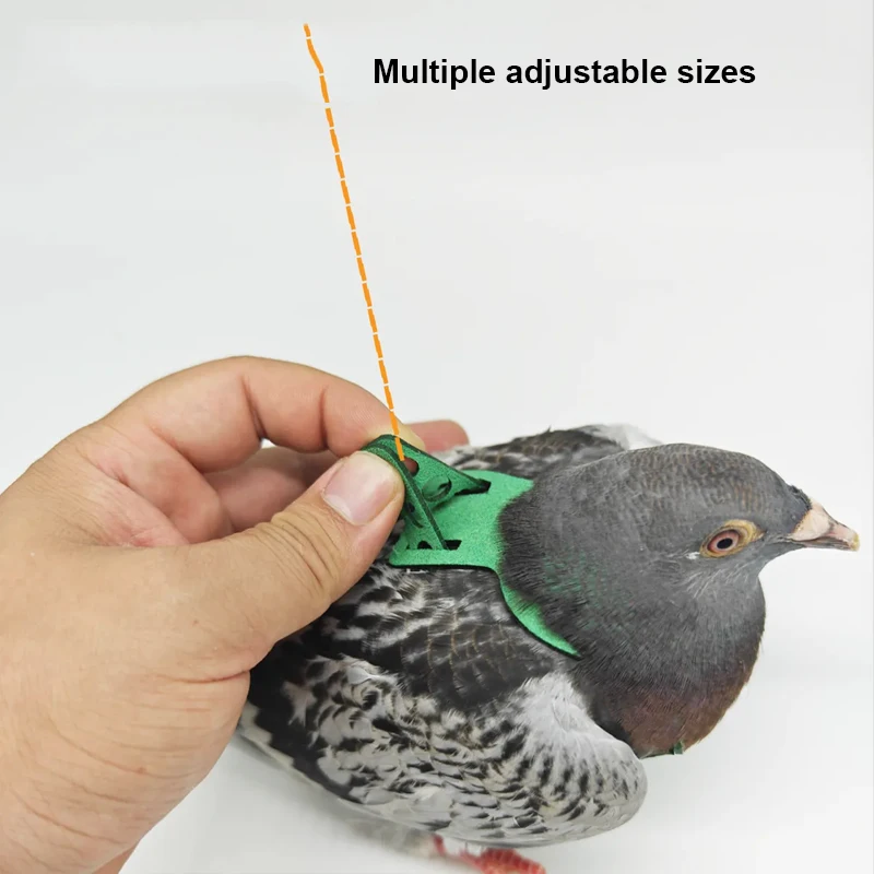Parrot Pigeon Harness And Leash Flying Anti-bite Traction Rope Straps Bird Training Outdoor Carrying Adjustable Bird Parrot Pigeon Harness And Leash Flying Anti-bite Traction Rope Straps Bird Training Outdoor Carrying Adjustable Bird