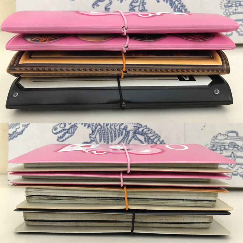 Passport Holder Cool Document Protector