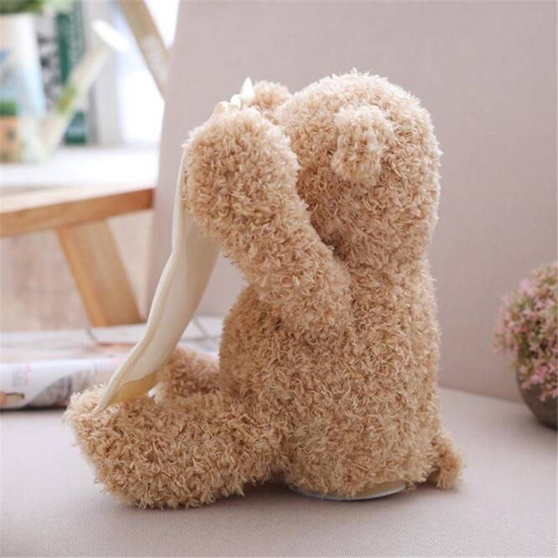Peek A Boo Teddy Bear Toy Peek A Boo Teddy Bear Toy