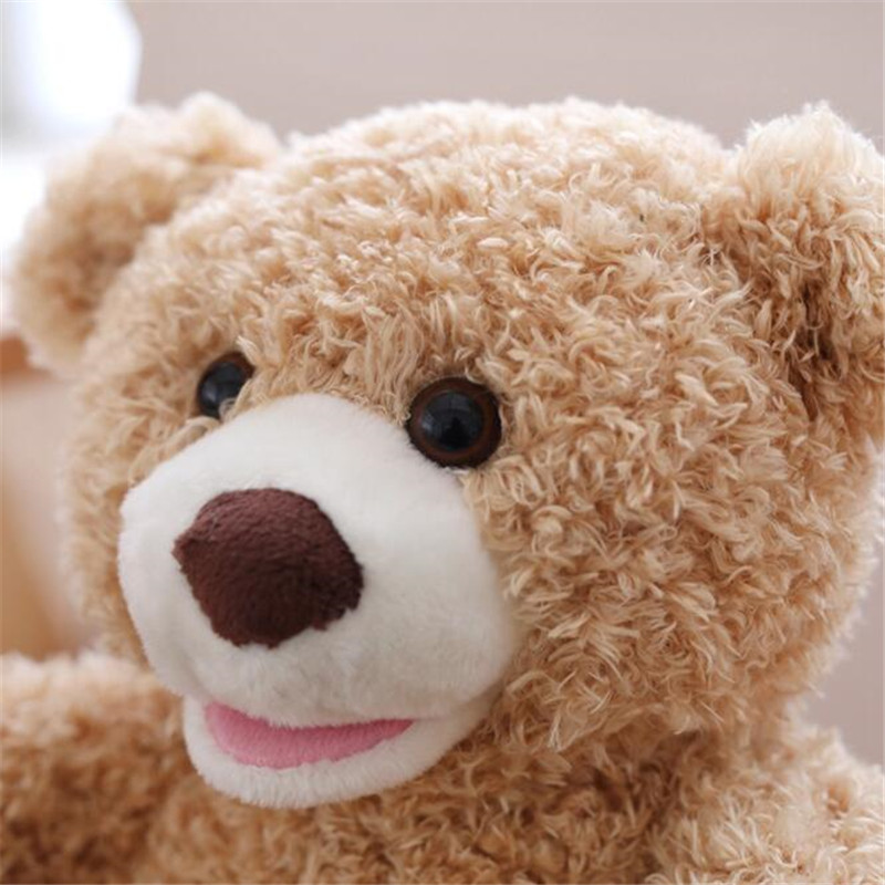Peek A Boo Teddy Bear Toy Peek A Boo Teddy Bear Toy