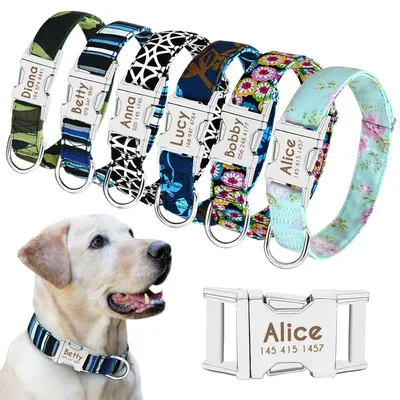 Personalized Dog Collars Engraved Nameplate Personalized Dog Collars Engraved Nameplate