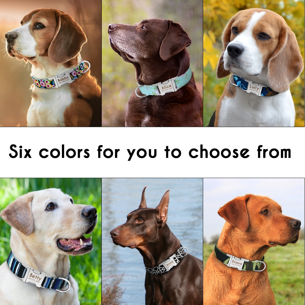 Personalized Dog Collars Engraved Nameplate Personalized Dog Collars Engraved Nameplate