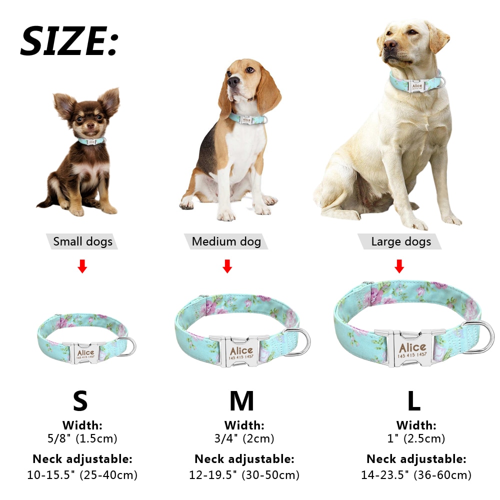 Personalized Dog Collars Engraved Nameplate Personalized Dog Collars Engraved Nameplate