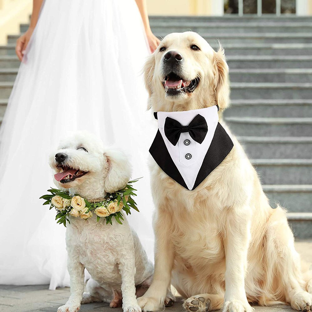 Pet Bandana Dog Tuxedo Collar Pet Bandana Dog Tuxedo Collar