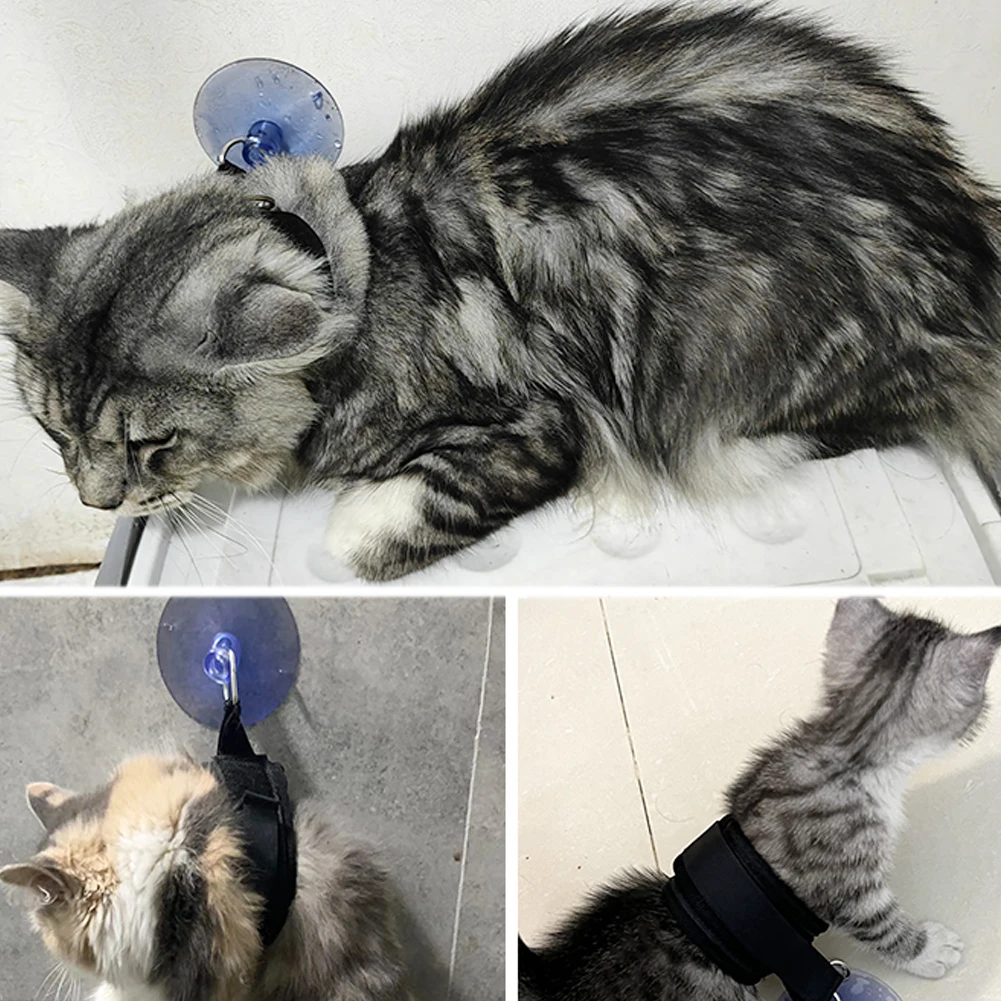 Pet Bath Fixation Strap with Sucktion Cup Cat Dog Shower Restraint Leash Anti Scratch Escaping Leash Pet Bathing