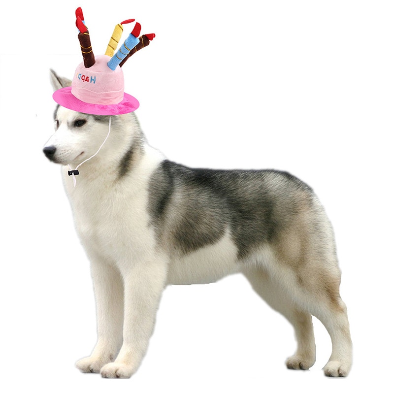 Pet Birthday Hat Party Accessory Pet Birthday Hat Party Accessory