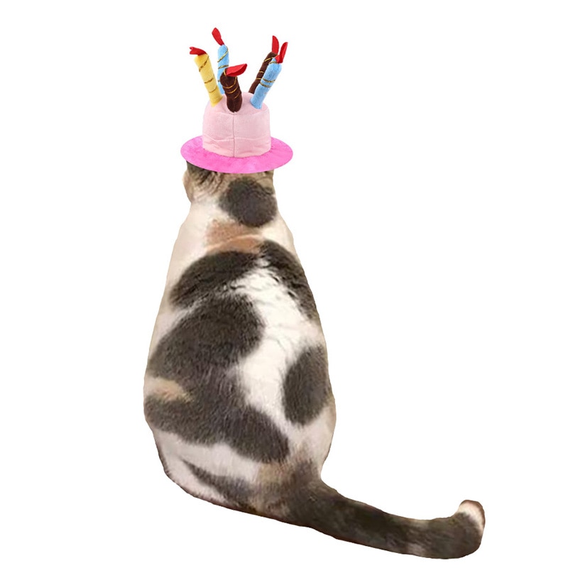 Pet Birthday Hat Party Accessory Pet Birthday Hat Party Accessory