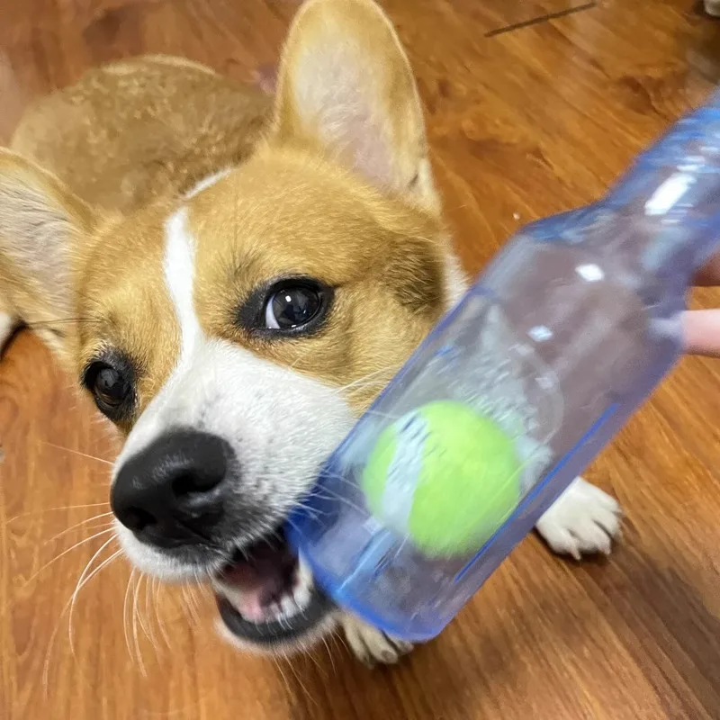 Pet Chew Toy TPR Bite-resistance Beer Bottle with Tennis Ball Toy Puppy Teeth Grinding dog Chewing Squeaky Interactive