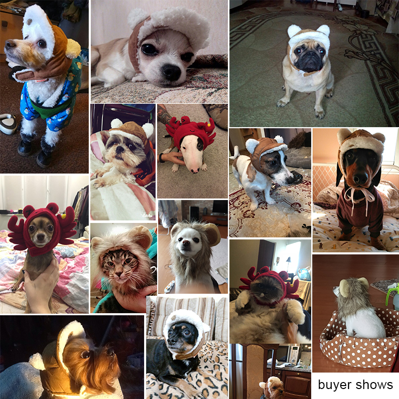 Pet Costumes Headwear Pet Costumes Headwear
