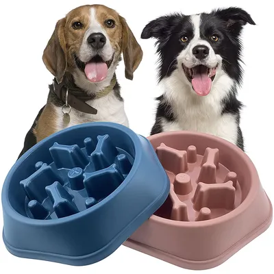 Pet Dog Bowl Slow Feeder