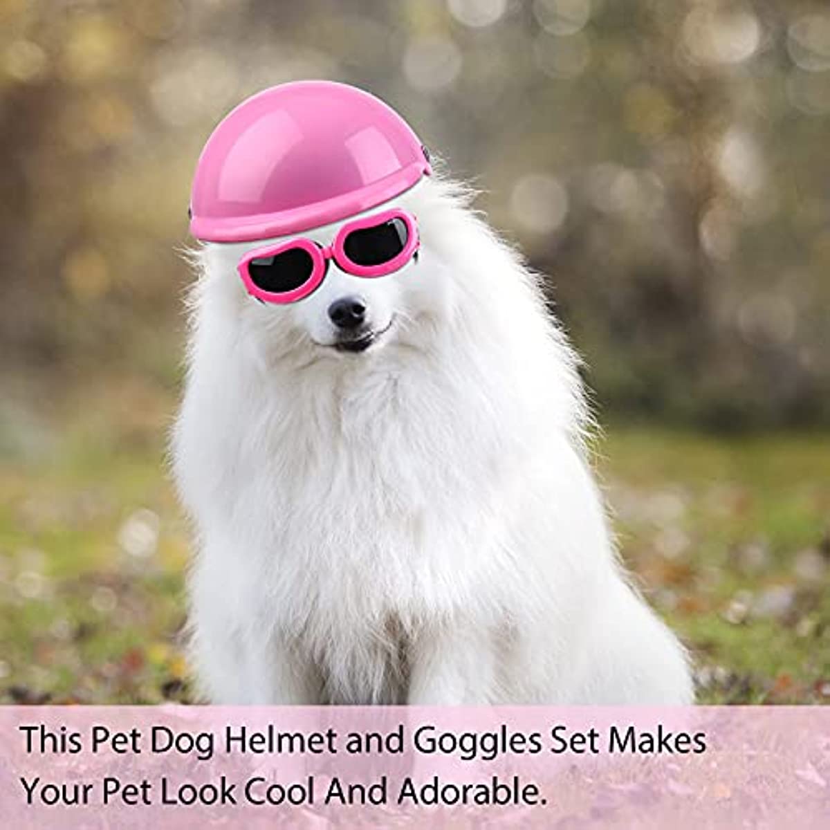 Pet Dog Helmet and Goggles Set Paded Pet Motorcycle Helmet and Dog Sunglasses Safety Pet Cap and Adorable Pet Goggles Pet Dog Helmet and Goggles Set Paded Pet Motorcycle Helmet and Dog Sunglasses Safety Pet Cap and Adorable Pet Goggles
