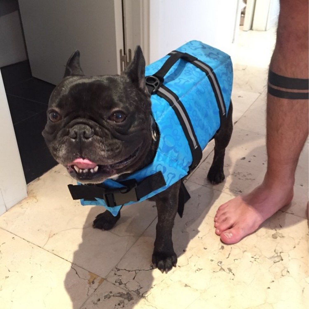 Pet Dog Life Jacket Saver Pet Dog Life Jacket Saver