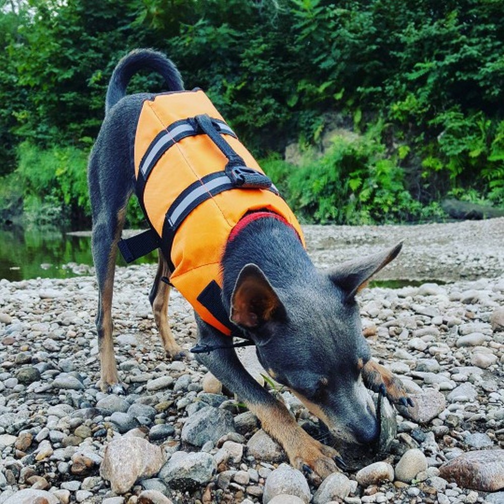 Pet Dog Life Jacket Saver Pet Dog Life Jacket Saver