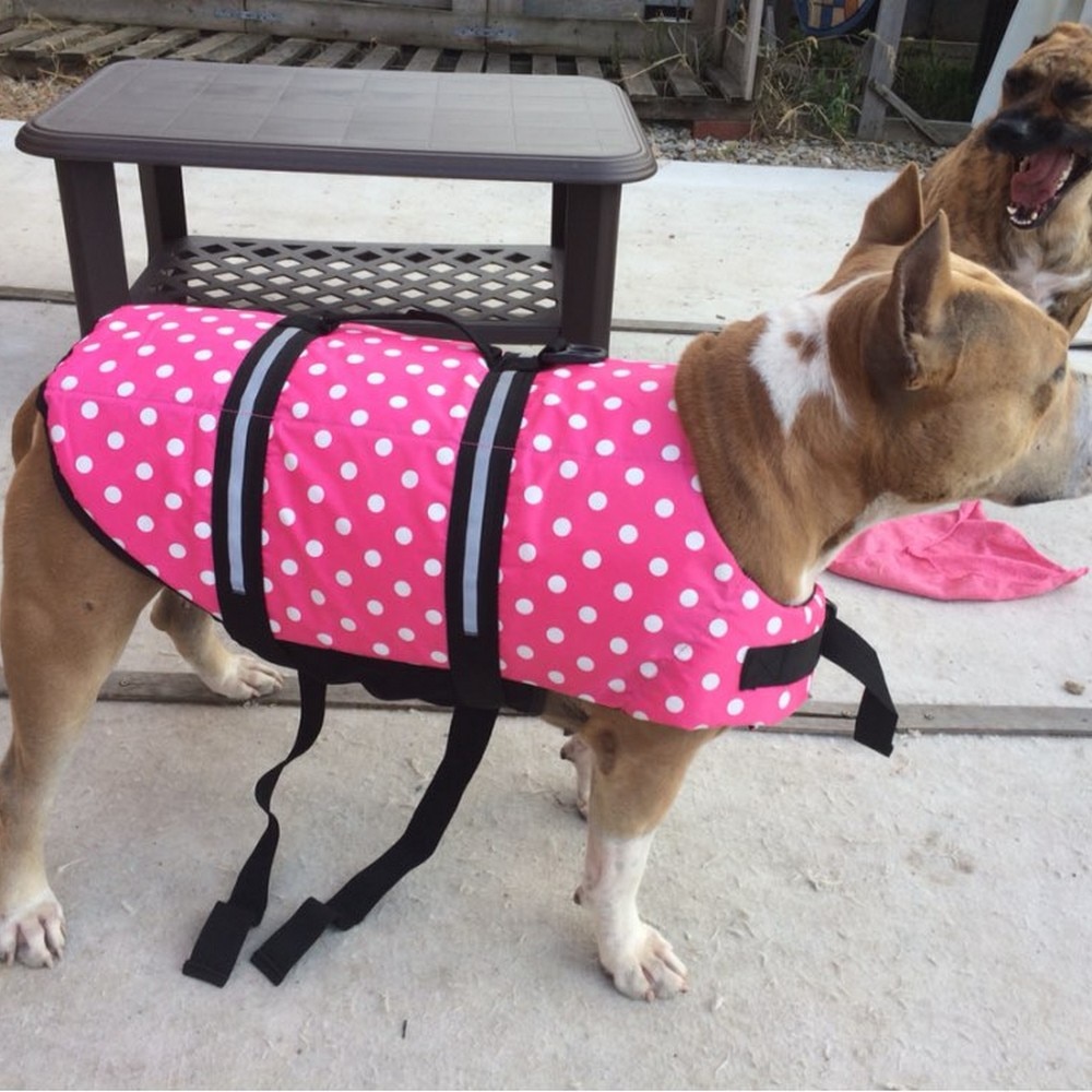Pet Dog Life Jacket Saver Pet Dog Life Jacket Saver