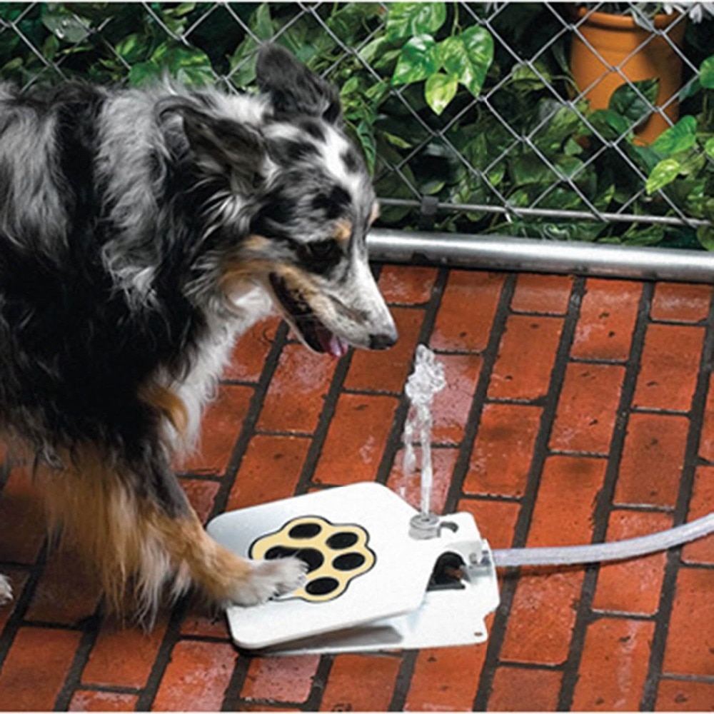 Pet Drinking Fountain Step-On Device Pet Drinking Fountain Step-On Device
