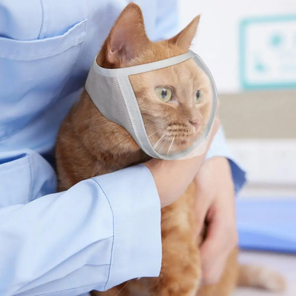 Pet Muzzle Anti-bite Adjustable Breathable Anti-scratch Small Pet Transparent Grooming Muzzle Cat Supplies Pet Muzzle Anti-bite Adjustable Breathable Anti-scratch Small Pet Transparent Grooming Muzzle Cat Supplies