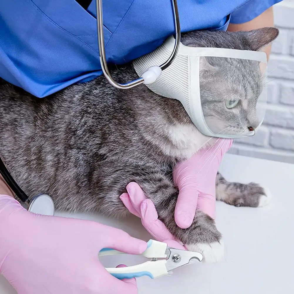 Pet Muzzle Anti-bite Adjustable Breathable Anti-scratch Small Pet Transparent Grooming Muzzle Cat Supplies Pet Muzzle Anti-bite Adjustable Breathable Anti-scratch Small Pet Transparent Grooming Muzzle Cat Supplies