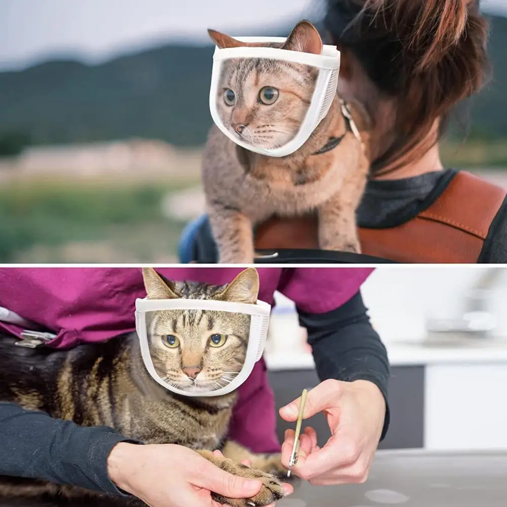 Pet Muzzle Anti-bite Adjustable Breathable Anti-scratch Small Pet Transparent Grooming Muzzle Cat Supplies Pet Muzzle Anti-bite Adjustable Breathable Anti-scratch Small Pet Transparent Grooming Muzzle Cat Supplies